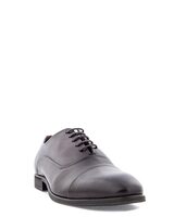 N.Bergqvist Brun Lågsko