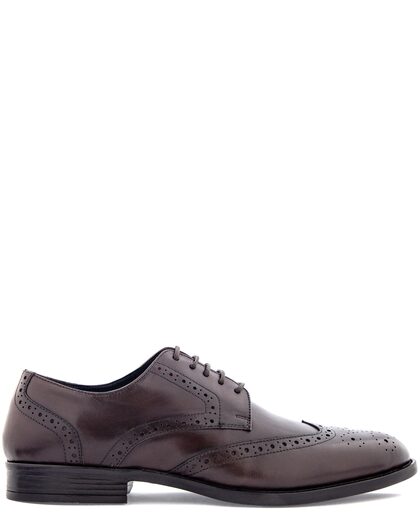 N.Bergqvist Brun Lågsko